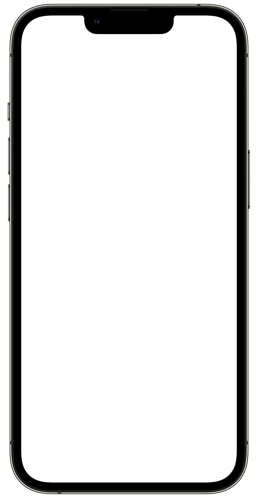 Clean Kitchen An app for NYC restaurant health grades