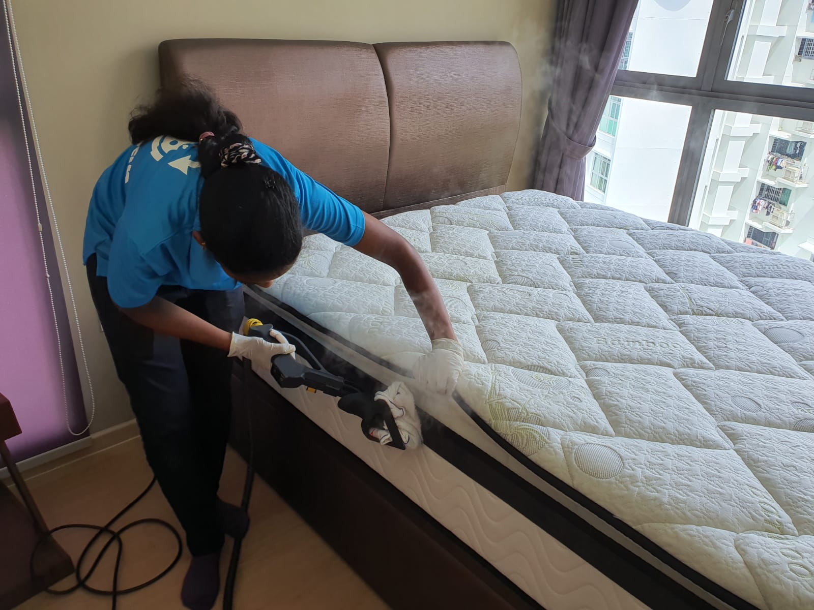 What Is Lurking In Your Mattress Clean Lab Professional Cleaning