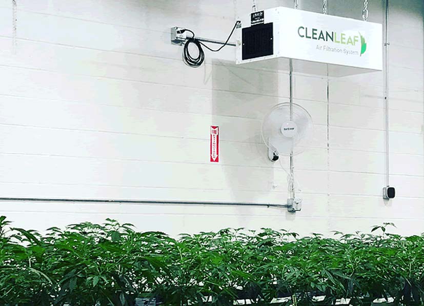 Grow Room Air Cleaners Grow Room Air Filtration CleanLeaf