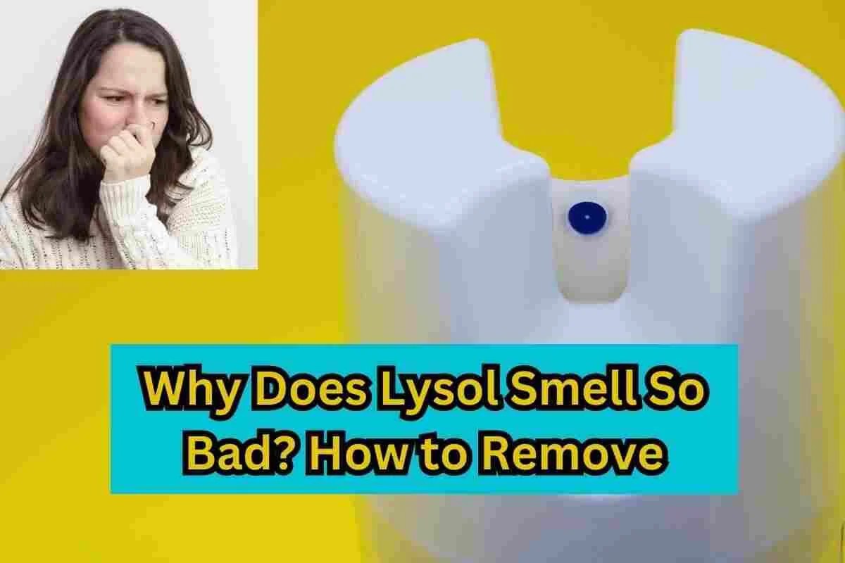 Why Does Lysol Smell So Bad? Expert Tips To Banish Odor Clean Life Blog