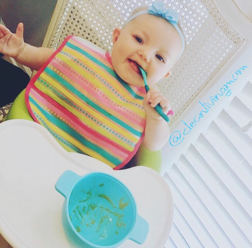 What Baby Food Is Safe? (Tips for Making Your Own Baby Food) Clean