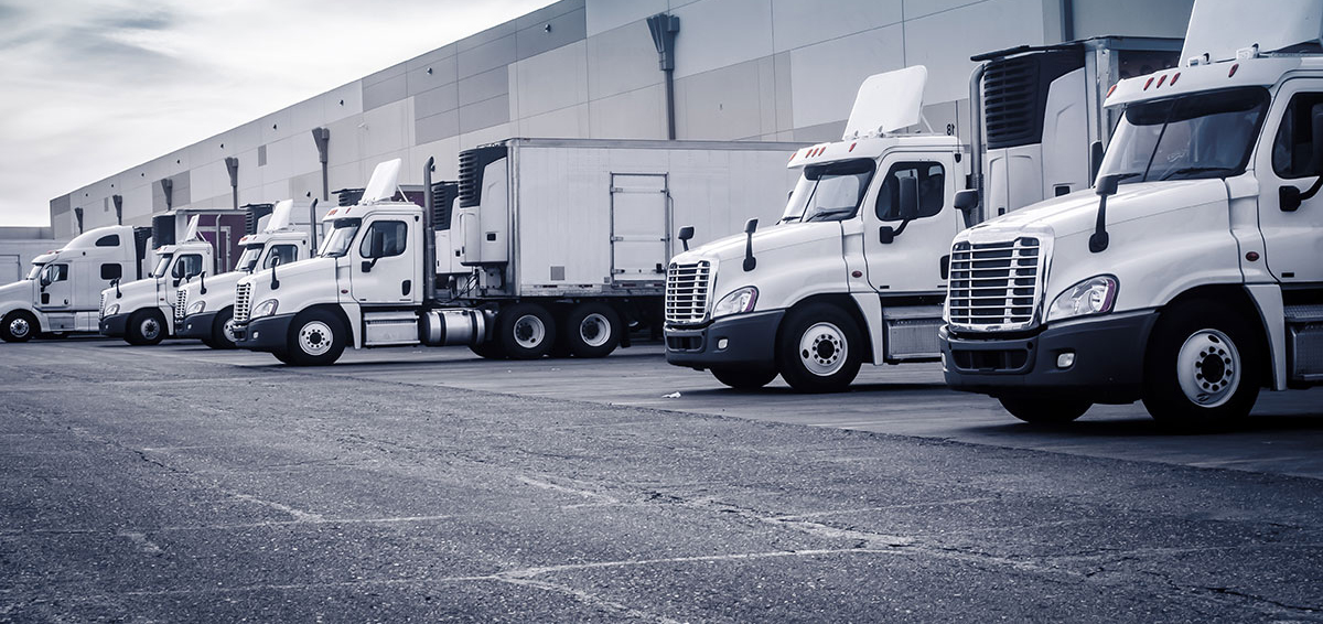 Hazardous Waste Disposal in Raleigh, North Carolina Trans and Disposal