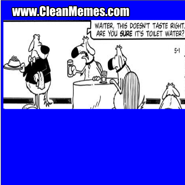 Toilet Water Clean Memes