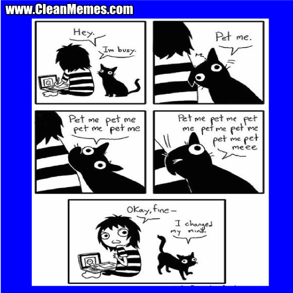 Changed My Mind Clean Memes