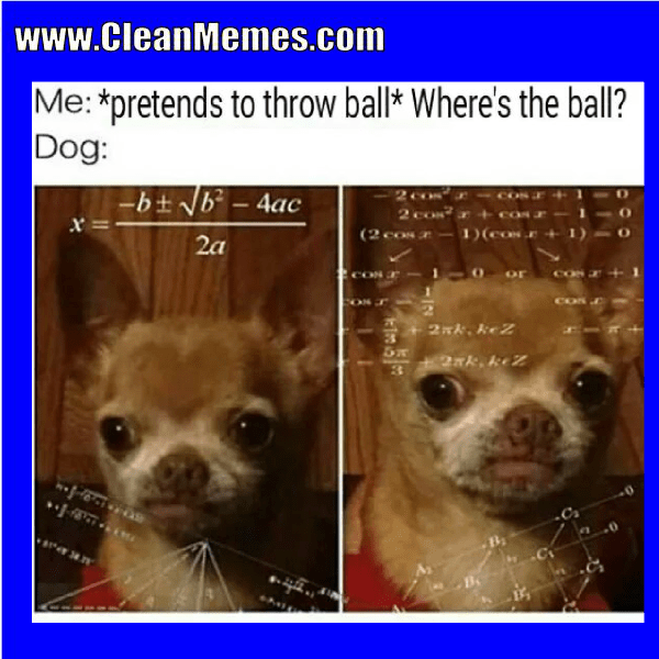 Throw Ball Clean Memes
