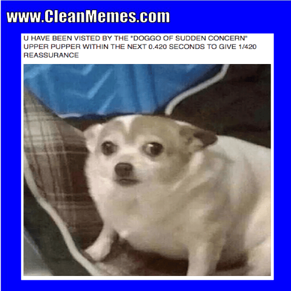 Dog Memes Page 24 Clean Memes