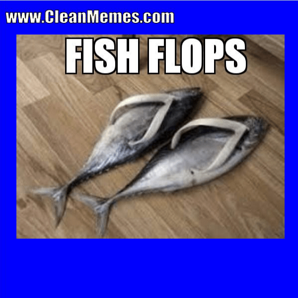 Clean Funny Images Page 116 Clean Memes