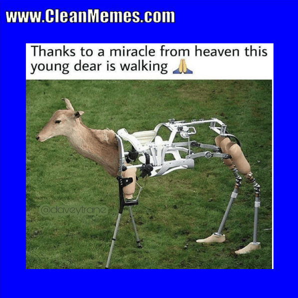 Clean Memes 12062017 Clean Memes