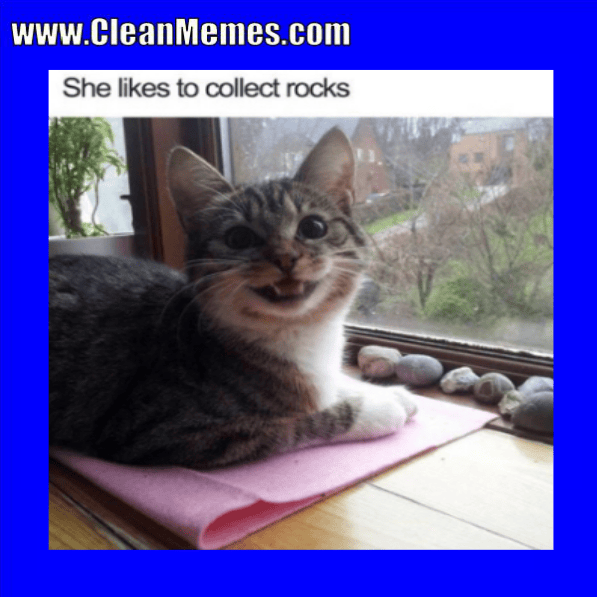 Clean Memes 01022018 Clean Memes