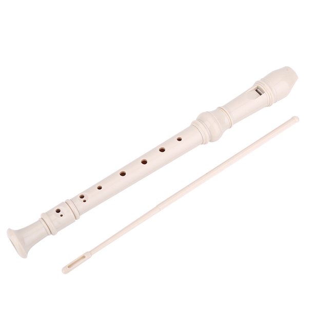 How To Sterilize a Recorder Plastic or Wood Clean My Instrument