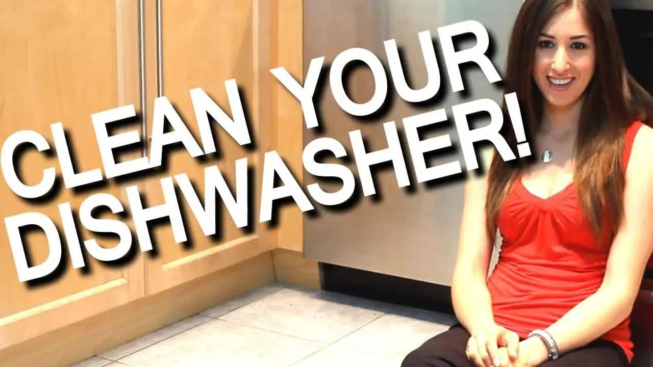 Getting StuckOn Food on Clean Dishes? Maybe You Need to Clean Your Dishwasher Filter Clean My