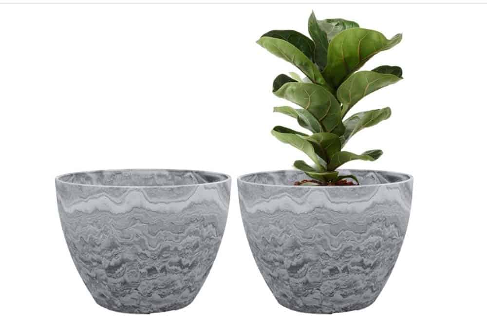 11 Must Have Products For Indoor Plant Owners Clean My Space