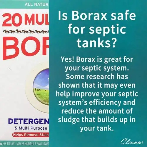 Is Borax Safe For Septic Tanks? Read This Before 1st Use Cleannr