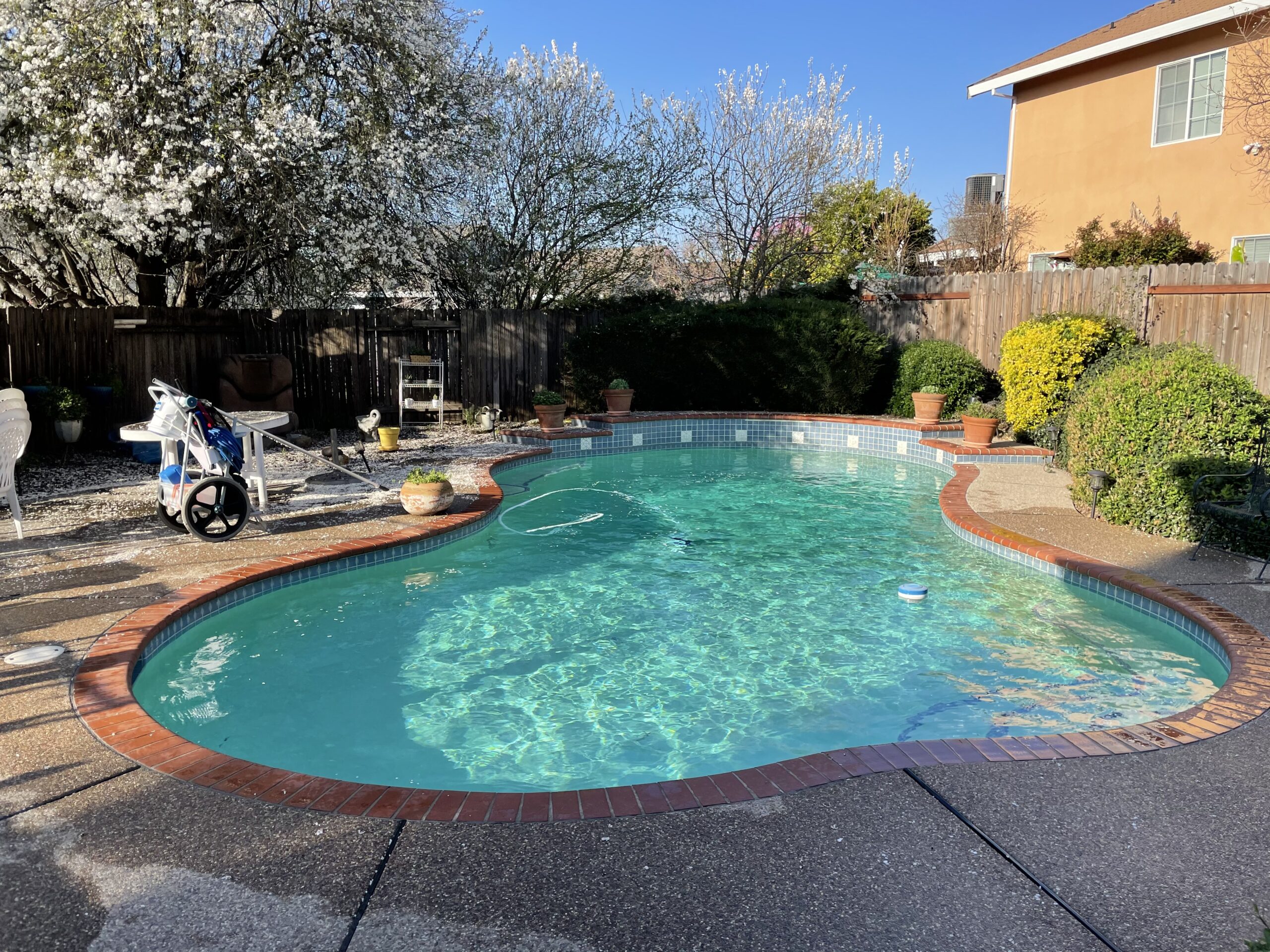 Weekly Pool Service Elk Grove Clean Pool Pros