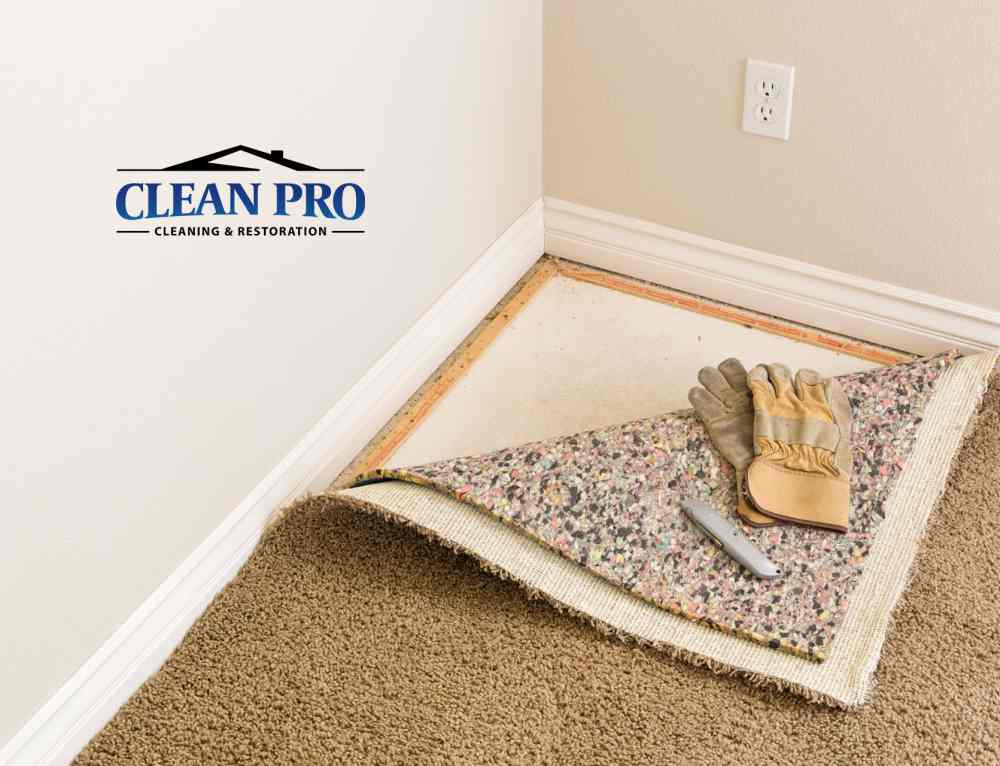 Food Spills on Carpet A Few Do’s and Don’ts Clean Pro Cleaning