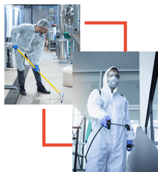 Clean Pro Services Inc Asbestos and Mold Testing and Removal Services