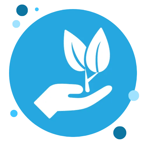 1 House Cleaning Services Sydney Prices from 99* Cleanright