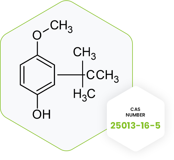 Largest Manufacturers of Butylated Hydroxyanisole (BHA)