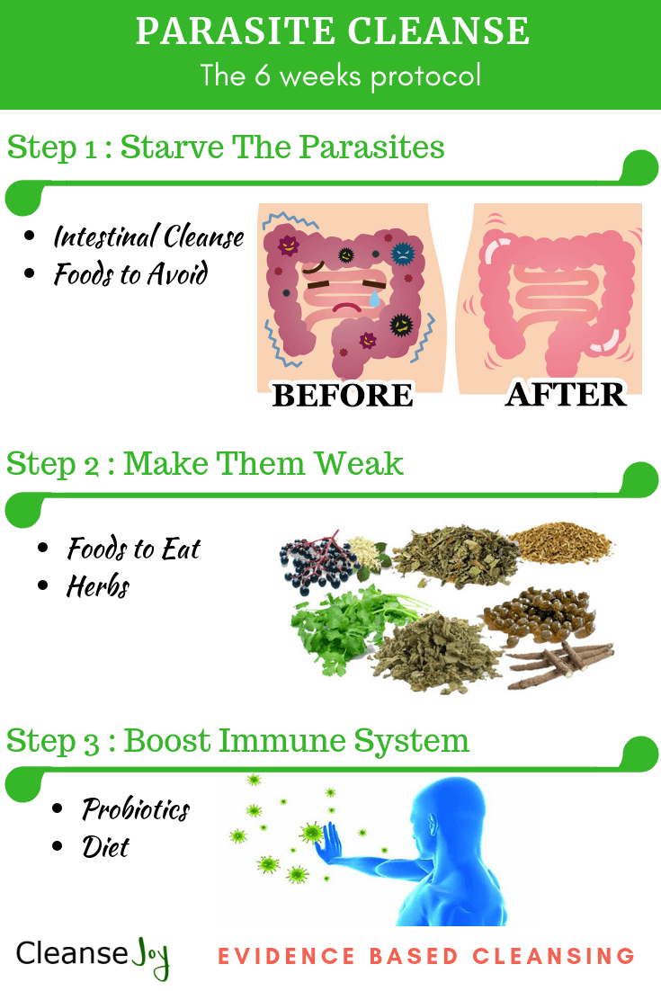 Homemade Parasite Cleanse Recipe Bryont Blog