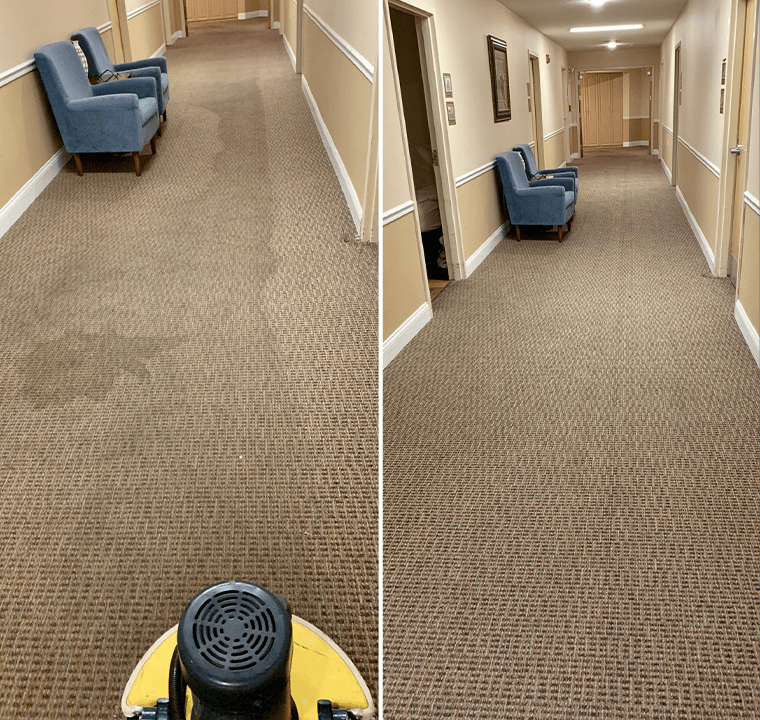 Debary Office Carpet Cleaning Service Odor Removal l Clean Steam