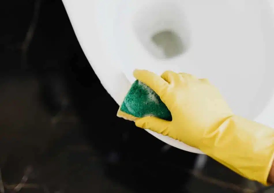 Deep Cleaning near me Cleanster Cleaning, Maid & Housekeeping Services for Everyone