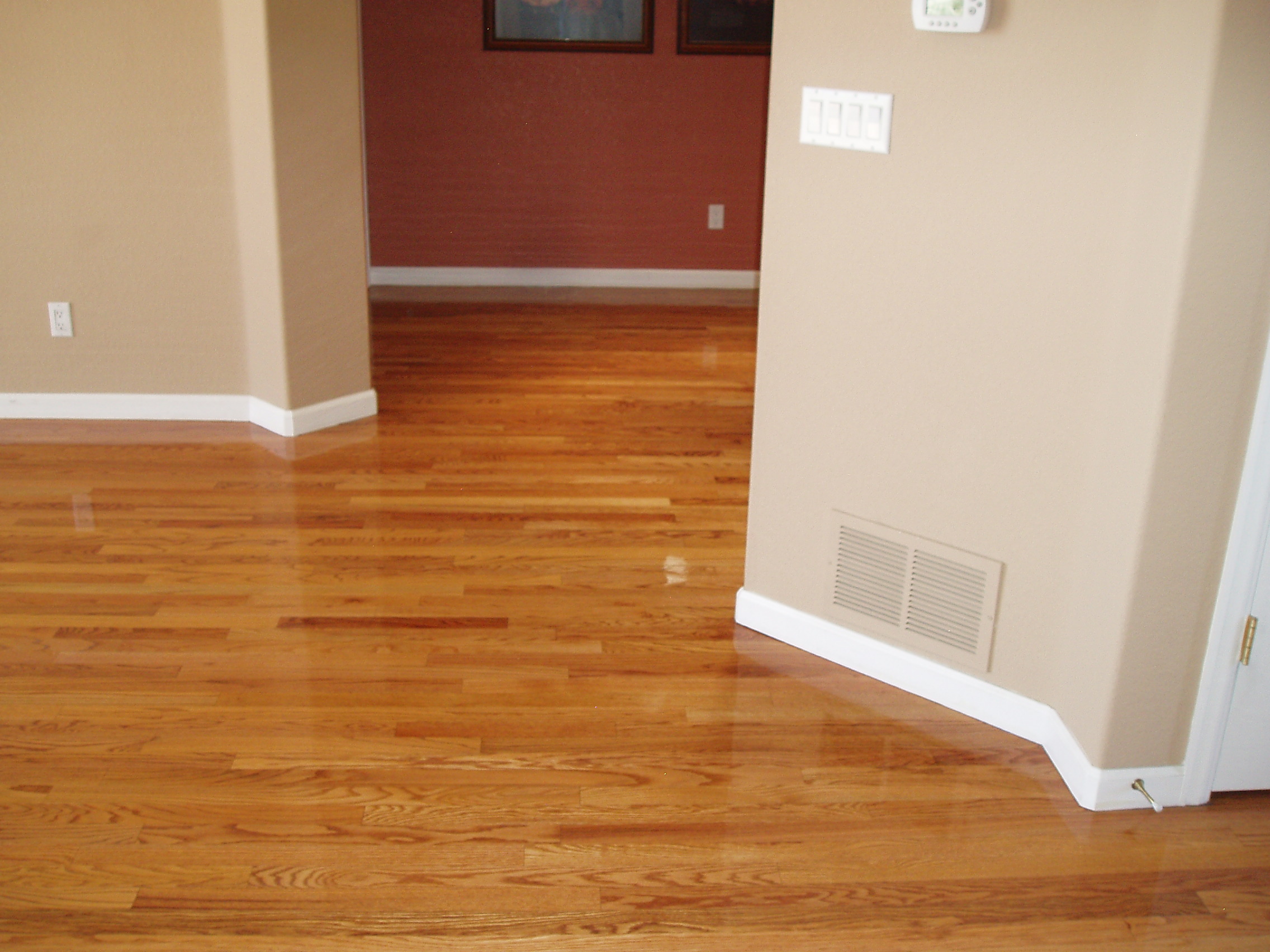 P1010011.JPG The Clean Team Carpet Cleaning Denver Carpet Cleaning Services Denver
