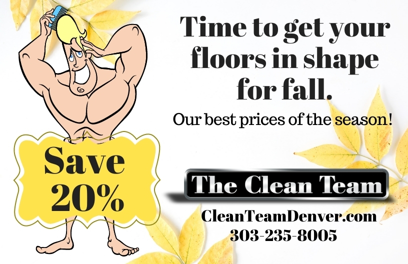 Current Specials The Clean Team Carpet Cleaning Denver Carpet