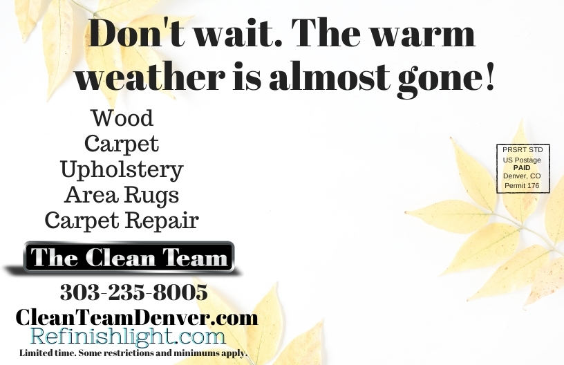 Current Specials The Clean Team Carpet Cleaning Denver Carpet