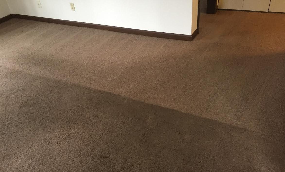 Carpet Cleaning Services in Appleton, WI Steam Cleaning