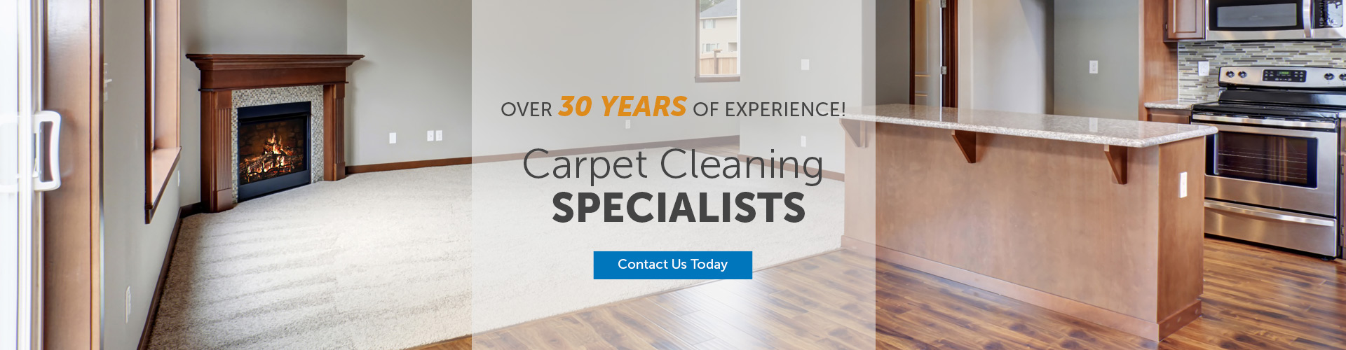 Carpet Cleaning Services in Appleton, WI Steam Cleaning