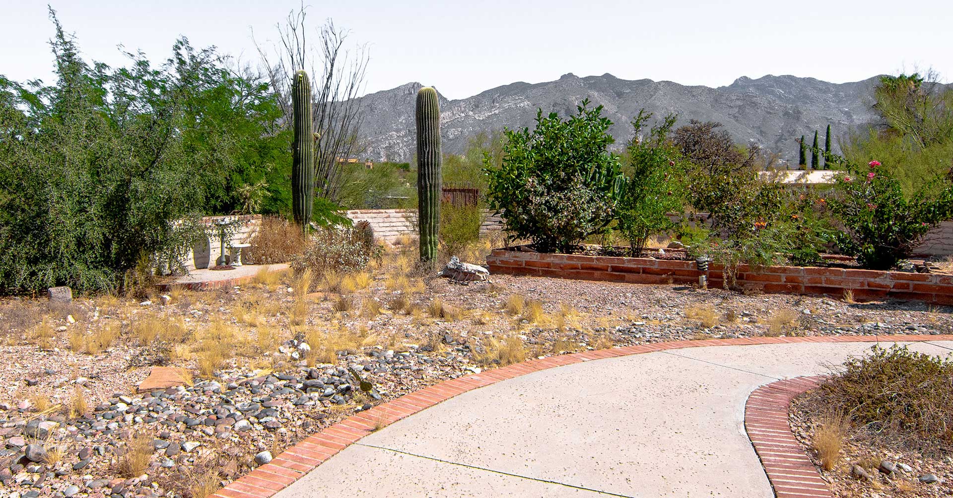Tucson Landscaping Desert Landscape Landscape