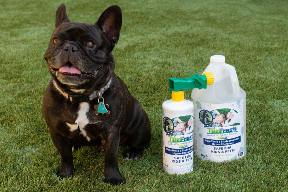 PPC Artificial Turf Cleaning Clean Turf Turf Cleaning