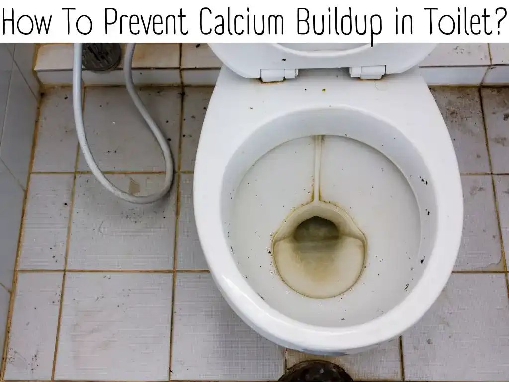 How To Prevent Calcium Buildup In Toilet? Cleanup Geek