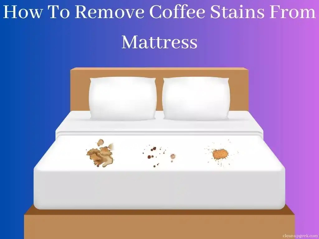 Easy Tips To Remove Coffee Stains From Mattress Cleanup Geek