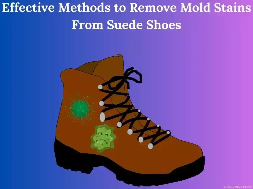 Effective Methods To Remove Mold Stains From Suede Shoes Cleanup Geek