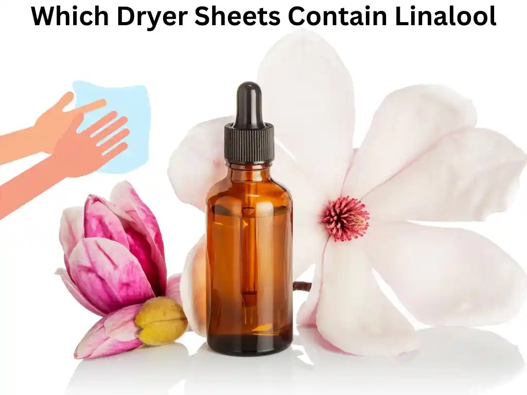 Which Dryer Sheets Contain Linalool Cleanup Geek