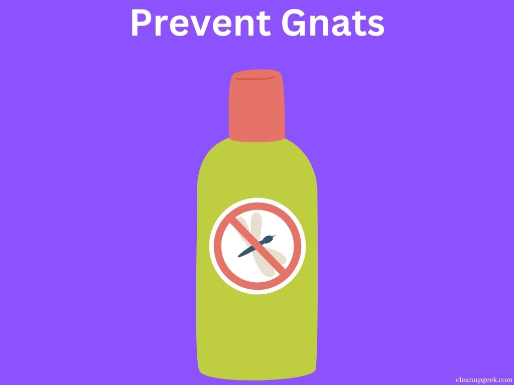 How To Get Rid Of Gnats On Bed Sheets Cleanup Geek
