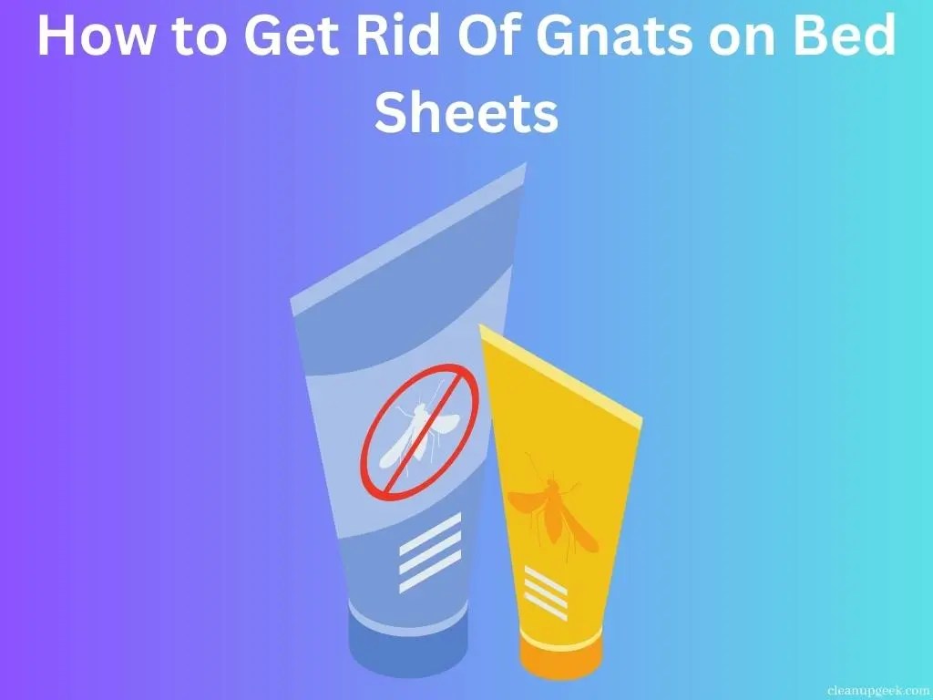 How To Get Rid Of Gnats On Bed Sheets Cleanup Geek