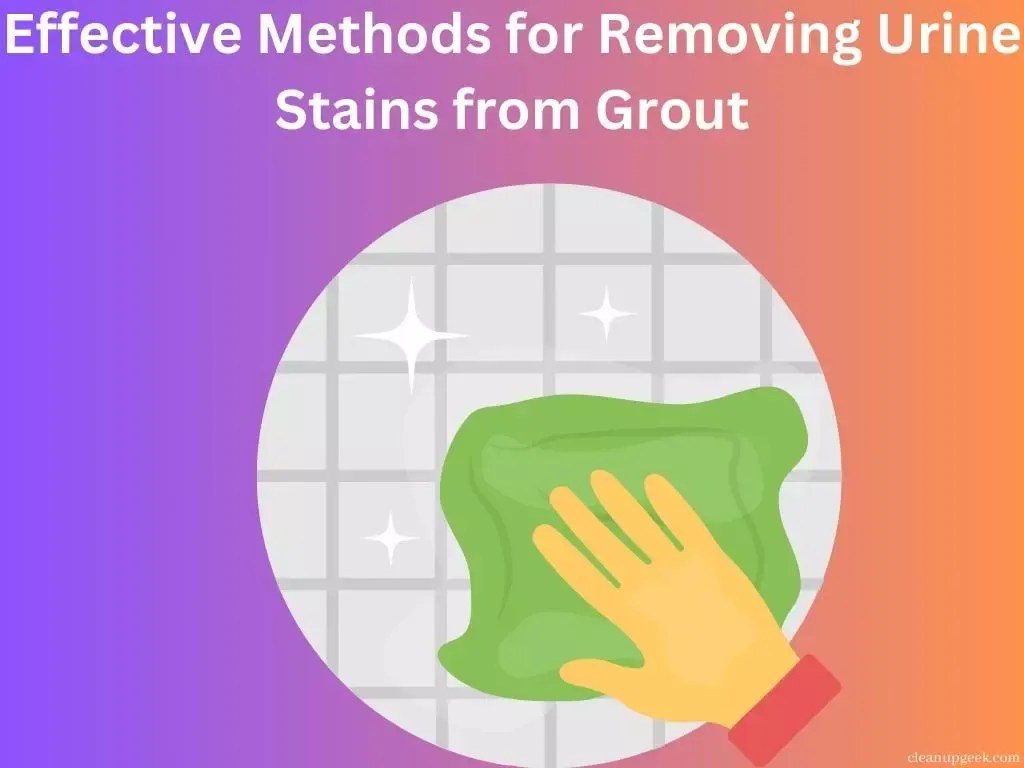 Effective Methods For Removing Urine Stains From Grout Cleanup Geek