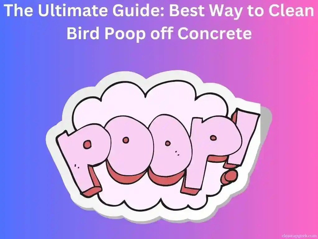 The Ultimate Guide Best Way To Clean Bird Poop Off Concrete Cleanup Geek
