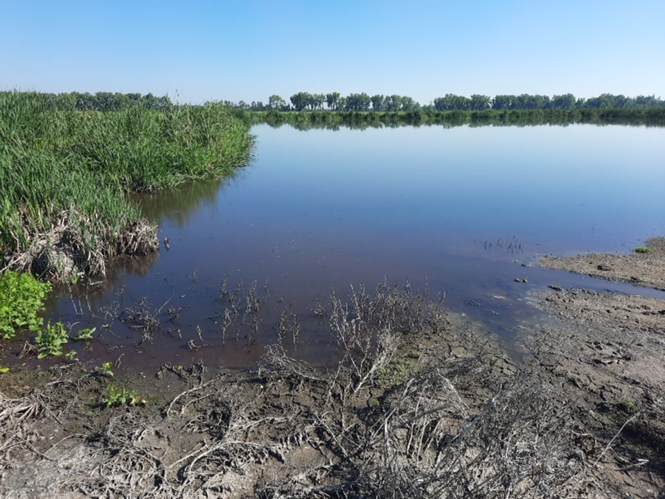 Pond Muck What is It? Clean Water Pro
