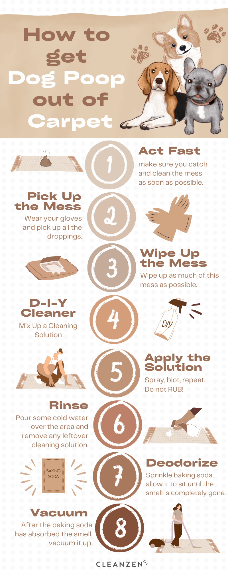 Eldon Staggs How to Get Dog Poop Out of Carpet (Guide & Tips)