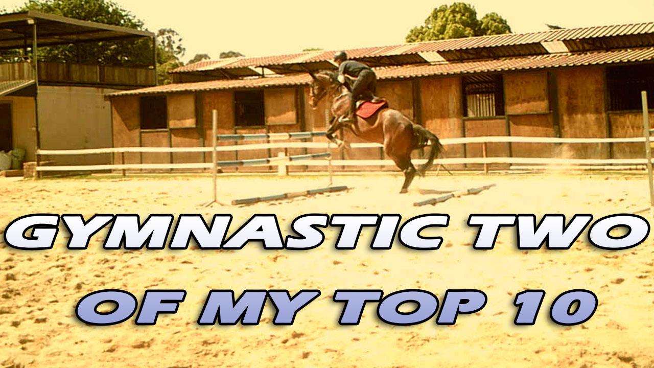 Gymnastics for horses CLEARROUND