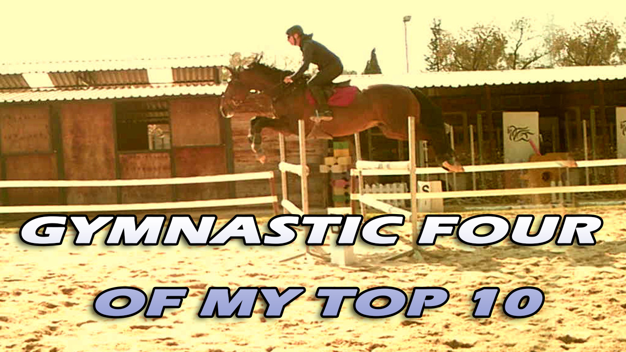 Gymnastics for horses CLEARROUND
