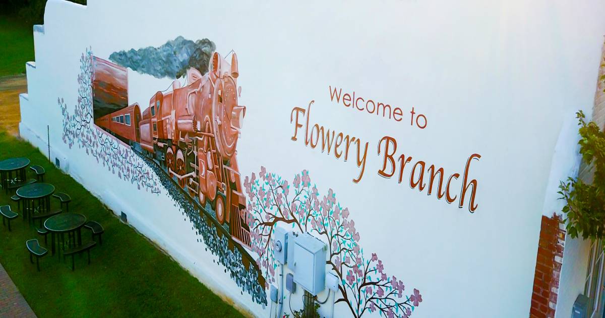 Flowery Branch, Case Study ClearGov