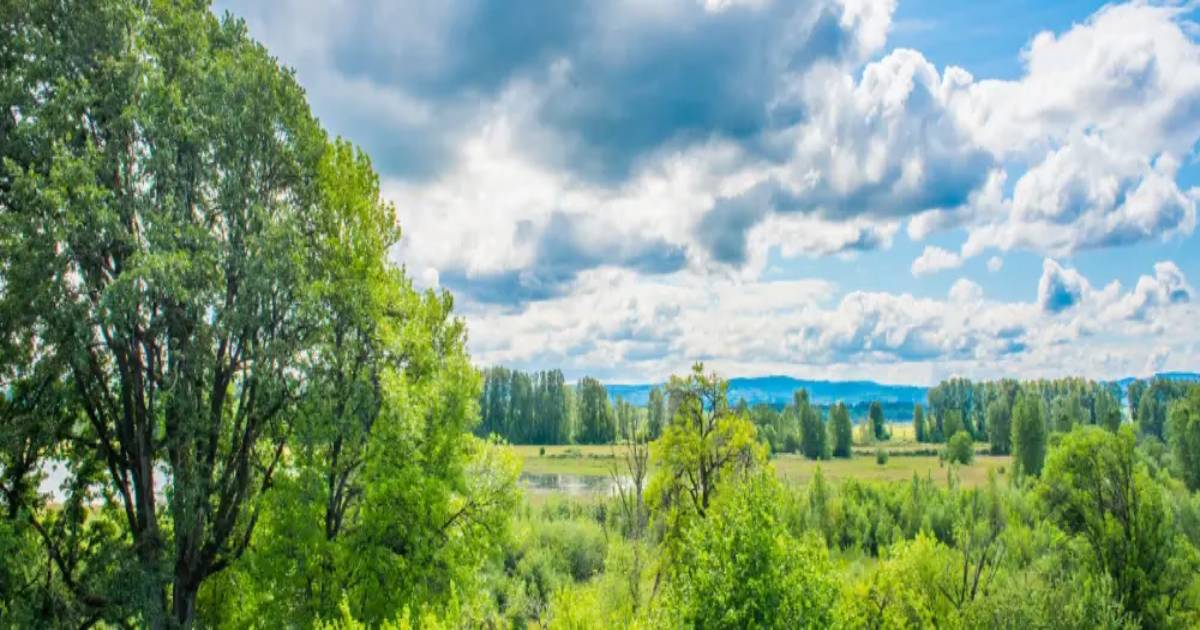 Ridgefield WA Case Study ClearGov