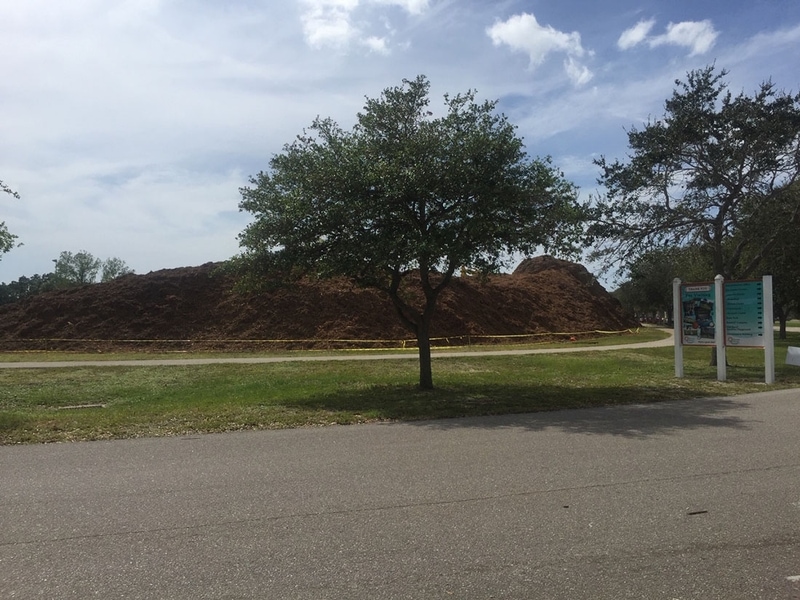 Land Clearing Services Inc South Carolina