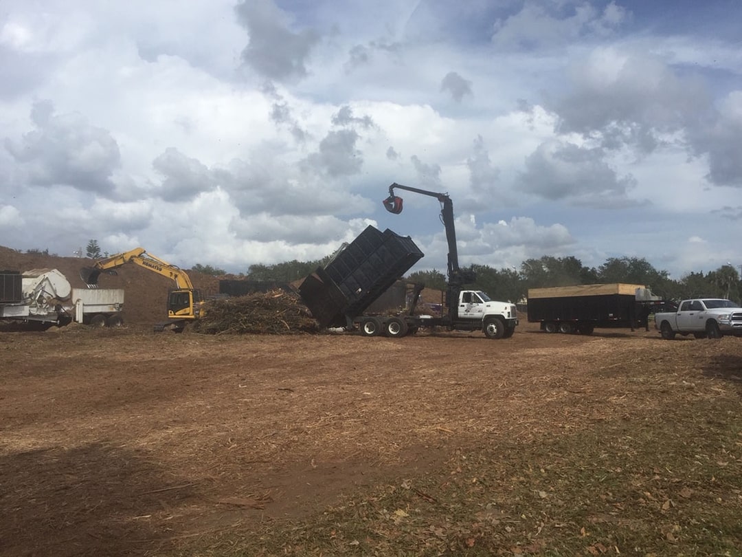 Land Clearing Services Inc South Carolina