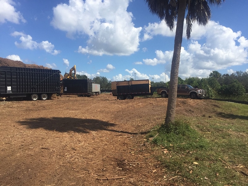 Land Clearing Services Inc South Carolina