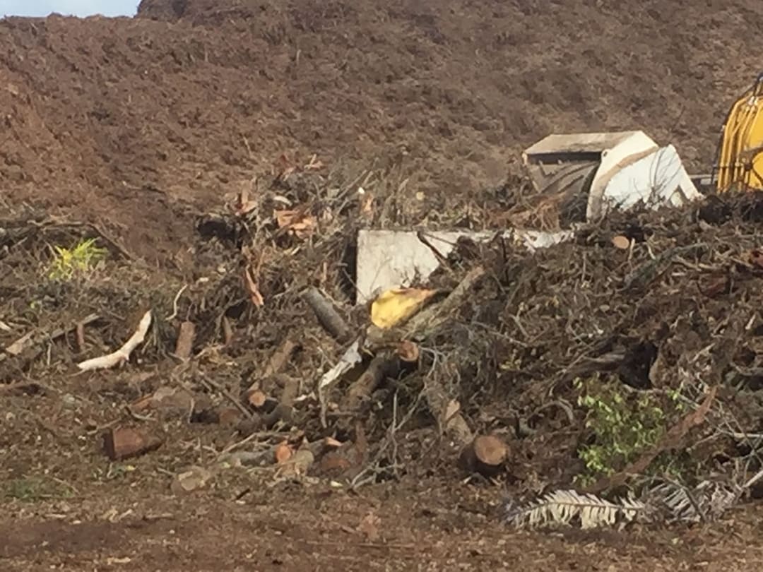 Land Clearing Services Inc South Carolina